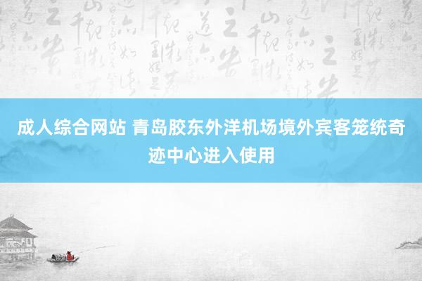成人综合网站 青岛胶东外洋机场境外宾客笼统奇迹中心进入使用