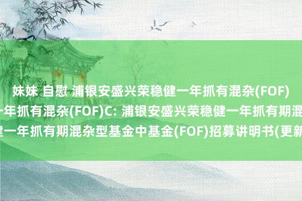 妹妹 自慰 浦银安盛兴荣稳健一年抓有混杂(FOF)A,浦银安盛兴荣稳健一年抓有混杂(FOF)C: 浦银安盛兴荣稳健一年抓有期混杂型基金中基金(FOF)招募讲明书(更新)2024年第2号