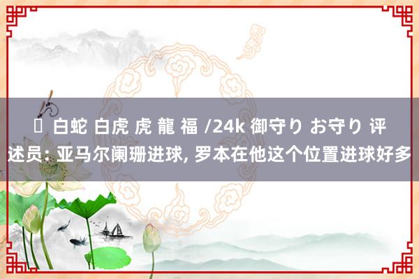 ✨白蛇 白虎 虎 龍 福 /24k 御守り お守り 评述员: 亚马尔阑珊进球， 罗本在他这个位置进球好多