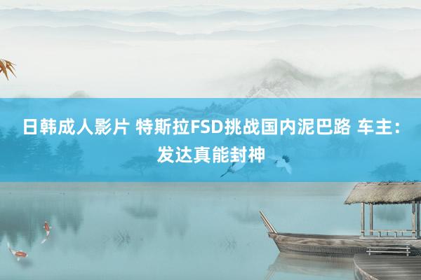 日韩成人影片 特斯拉FSD挑战国内泥巴路 车主：发达真能封神