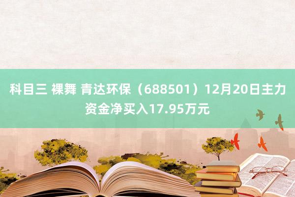 科目三 裸舞 青达环保（688501）12月20日主力资金净买入17.95万元