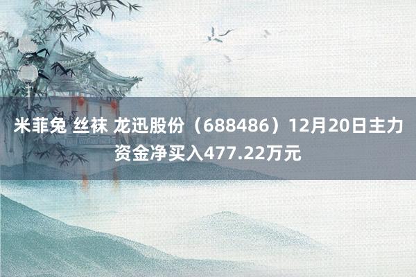 米菲兔 丝袜 龙迅股份（688486）12月20日主力资金净买入477.22万元