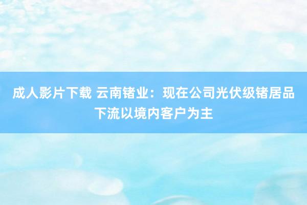 成人影片下载 云南锗业：现在公司光伏级锗居品下流以境内客户为主