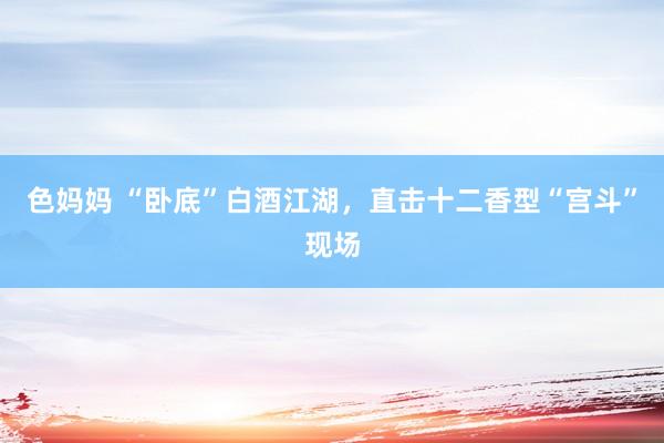 色妈妈 “卧底”白酒江湖，直击十二香型“宫斗”现场