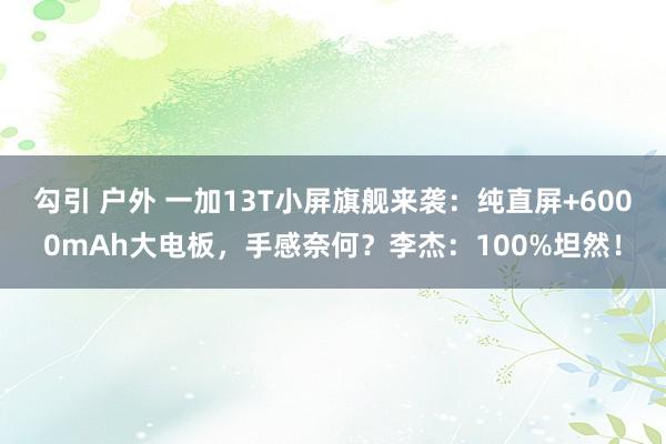 勾引 户外 一加13T小屏旗舰来袭：纯直屏+6000mAh大电板，手感奈何？李杰：100%坦然！