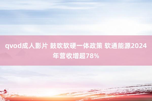 qvod成人影片 鼓吹软硬一体政策 软通能源2024年营收增超78%