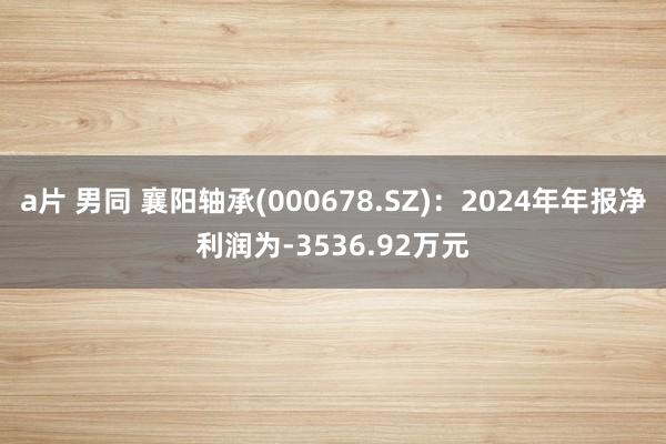 a片 男同 襄阳轴承(000678.SZ)：2024年年报净利润为-3536.92万元