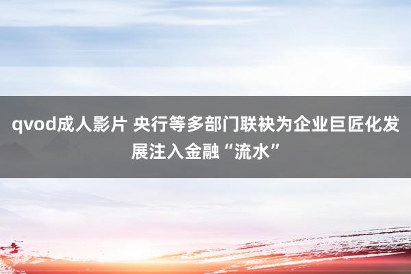 qvod成人影片 央行等多部门联袂为企业巨匠化发展注入金融“流水”
