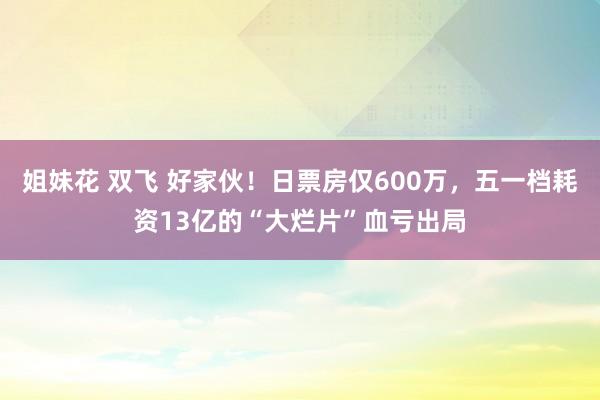 姐妹花 双飞 好家伙！日票房仅600万，五一档耗资13亿的“大烂片”血亏出局