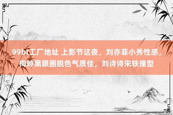 99bt工厂地址 上影节这夜，刘亦菲小秀性感，梅婷黑眼圈脱色气质佳，刘诗诗宋轶撞型