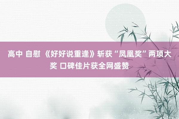 高中 自慰 《好好说重逢》斩获“凤凰奖”两项大奖 口碑佳片获全网盛赞